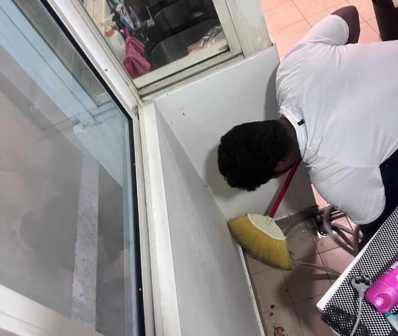 Professional cleaning team